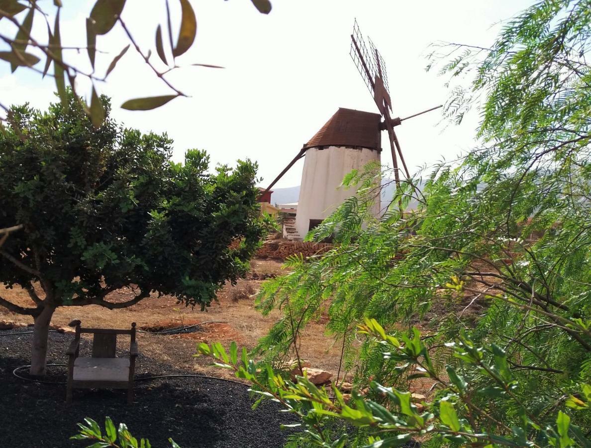 Encantadora Casita Con Molino Y Piscina Antigua  Buitenkant foto